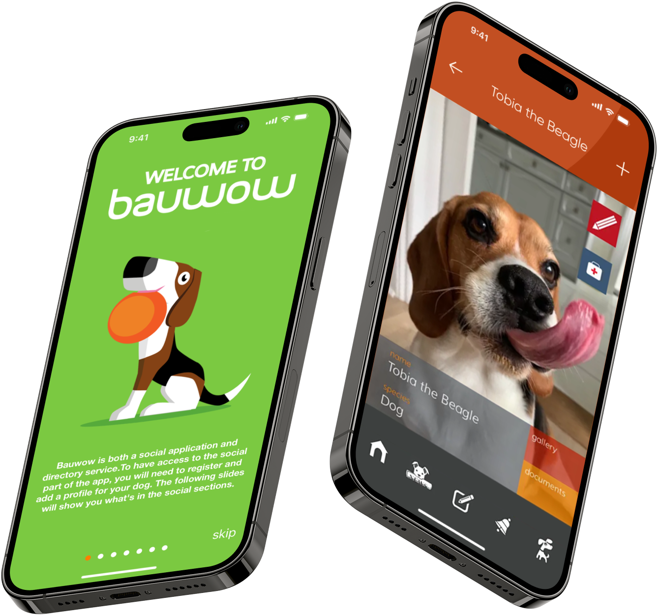Bauwow