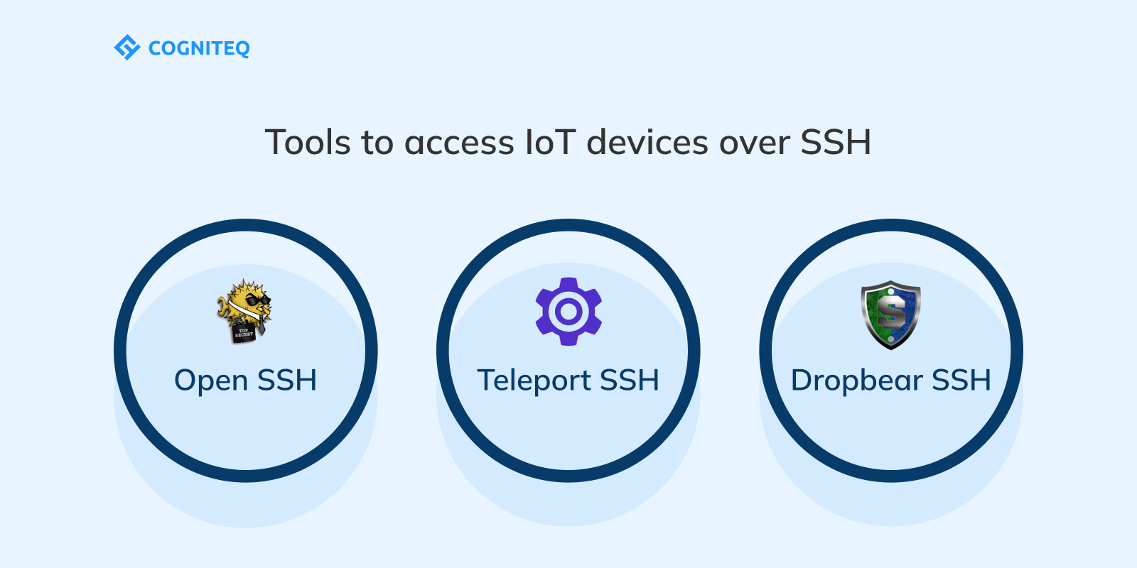 IoT Remote Access: Accessing IoT devices for SSH | Cogniteq